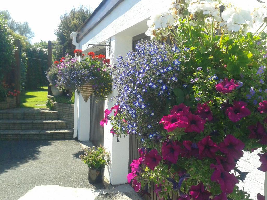 Bay View Bed And Breakfast Penryn Exterior foto